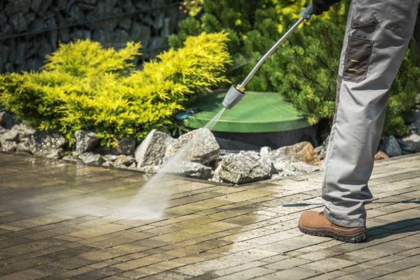 Best Animal Enclosure Cleaning  in Knoxville, TN
